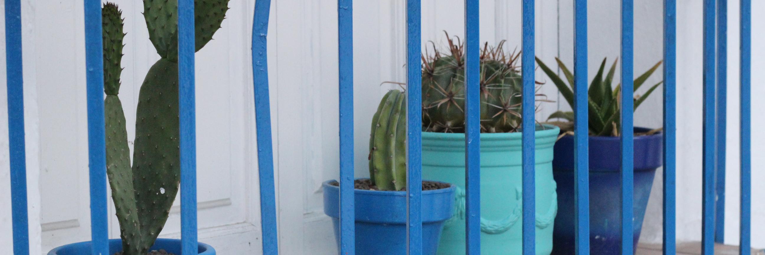 KateMonypenny's profile banner image