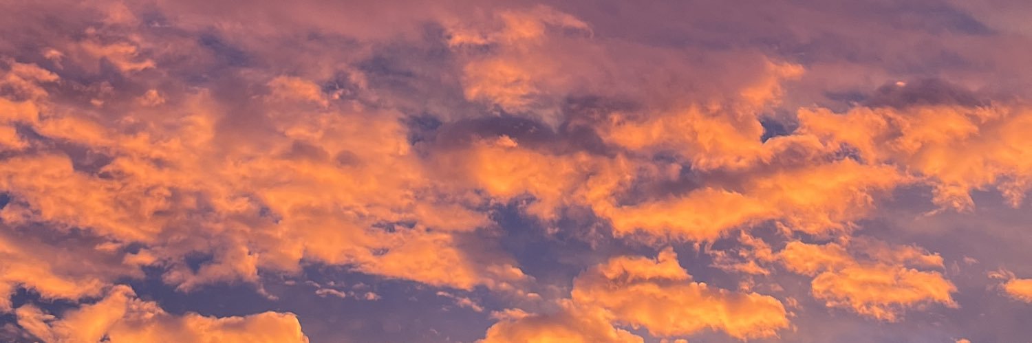 didicl5's profile banner image