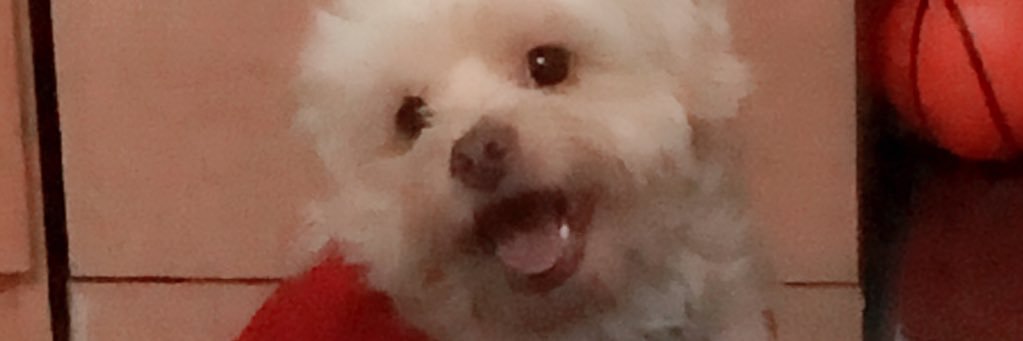 rhiza16's profile banner image