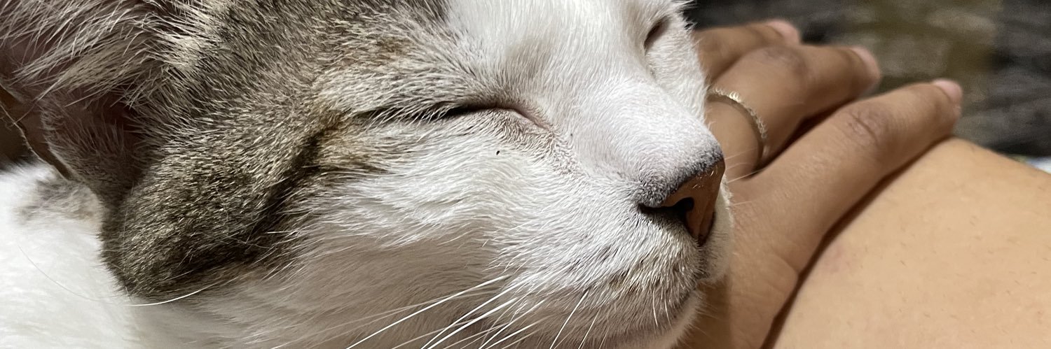 Pams_gr's profile banner image