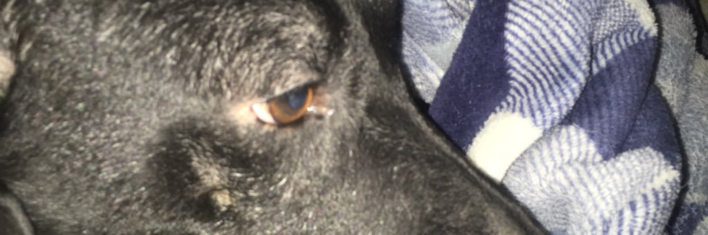drunkenhat's profile banner image
