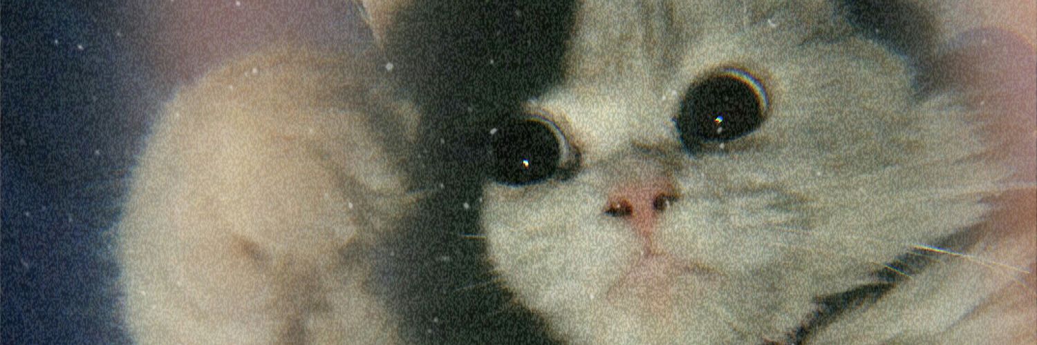 cacanq's profile banner image
