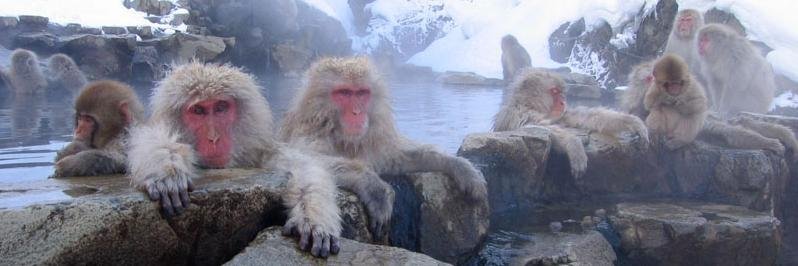 ぐんまりん☆ banner