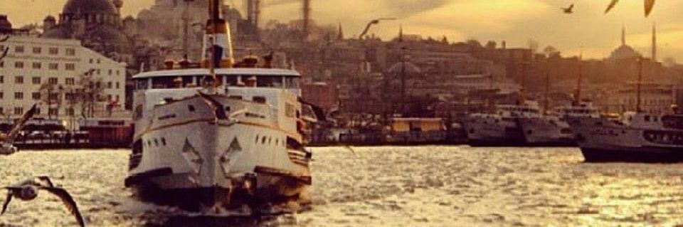 nari_neva's profile banner image