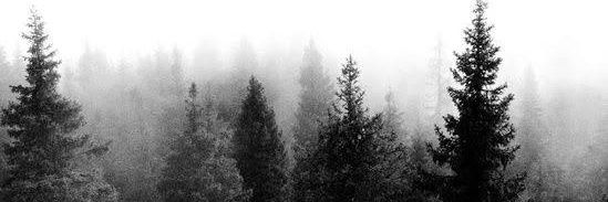 acz_mendi's profile banner image