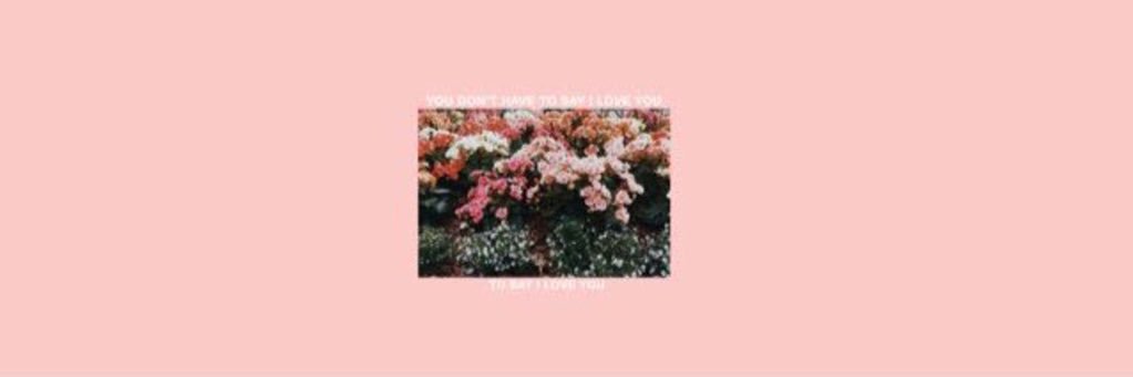 TaylorSwiftTMX's profile banner image