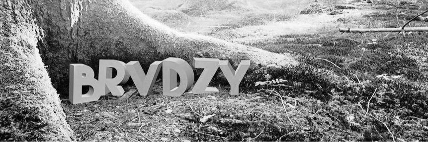zBrvd's profile banner image
