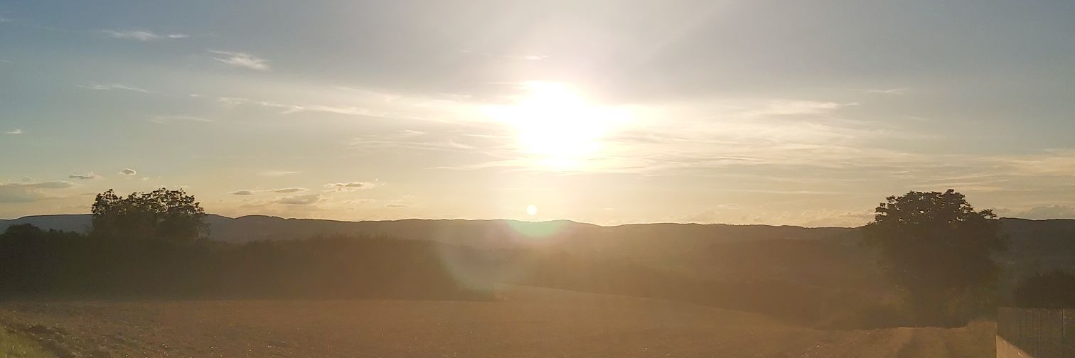 TomatoFino's profile banner image