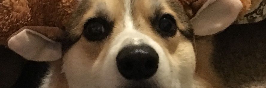 thekidrio's profile banner image