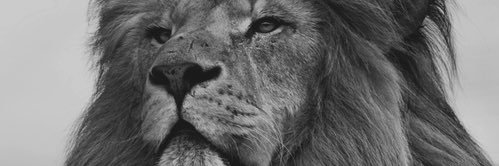 makingtimecount's profile banner image