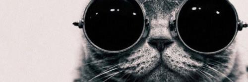 Ronja_S's profile banner image