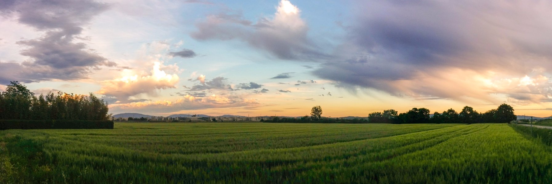 almattone's profile banner image