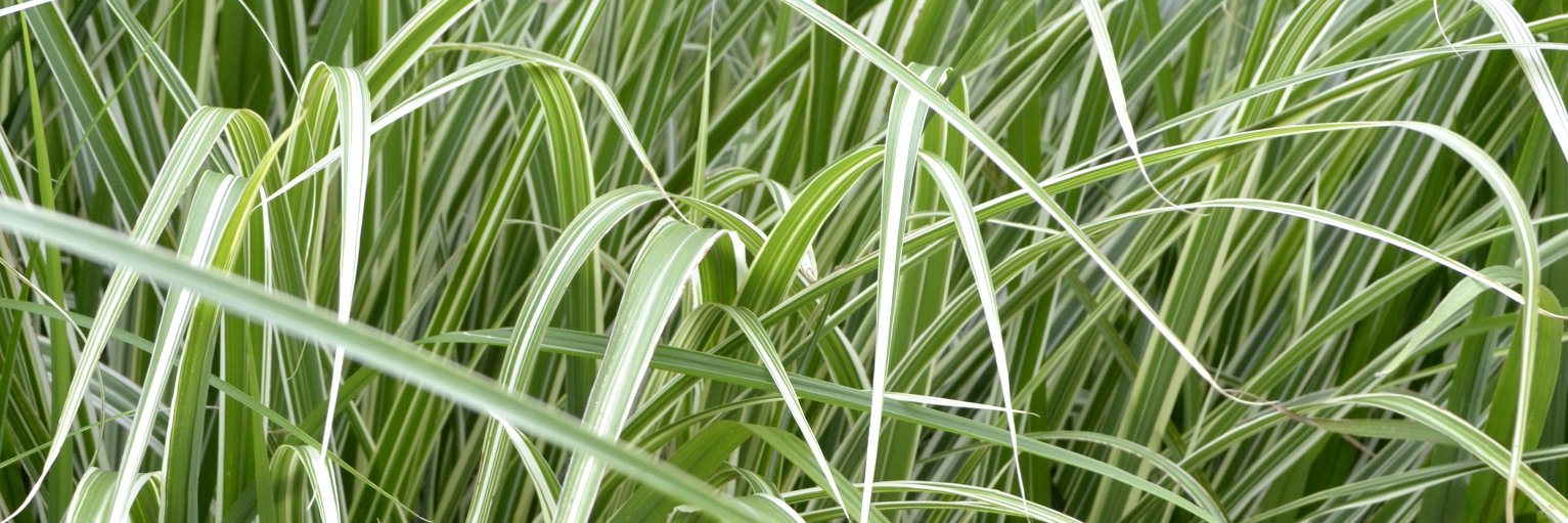 kstrhet's profile banner image