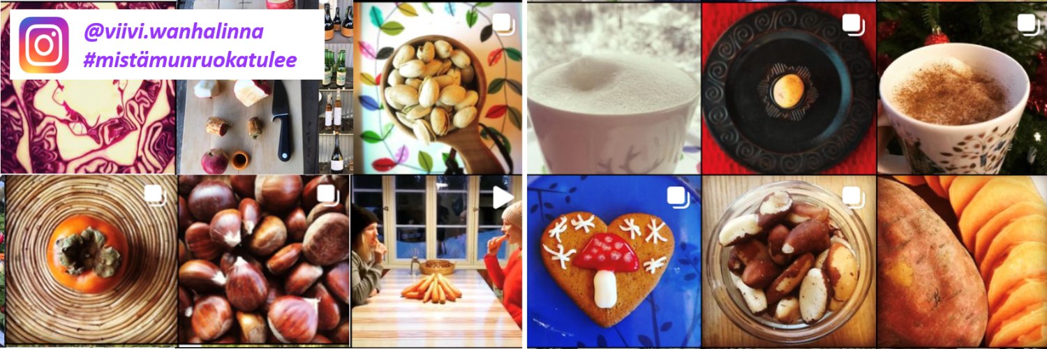 Viivi Wanhalinna banner