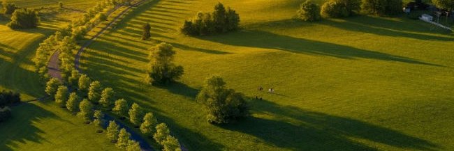 Salamander Middleburg banner