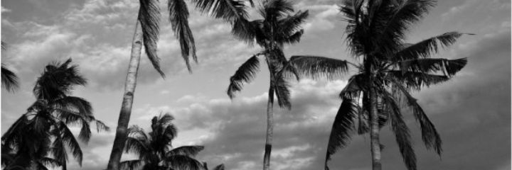 andrea_spanu's profile banner image