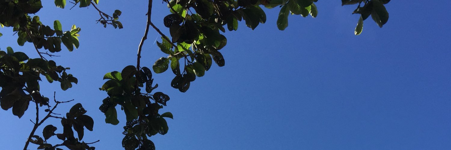 Septiaratnas's profile banner image