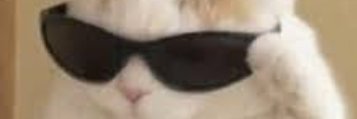 ileo0x's profile banner image