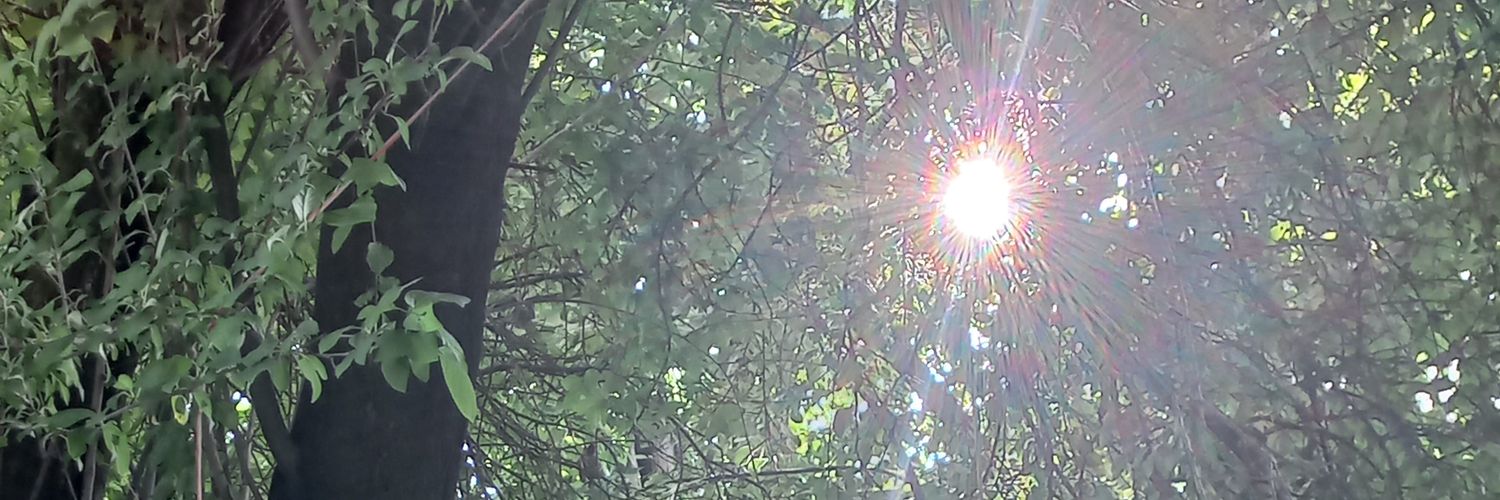 erkin_aylin's profile banner image