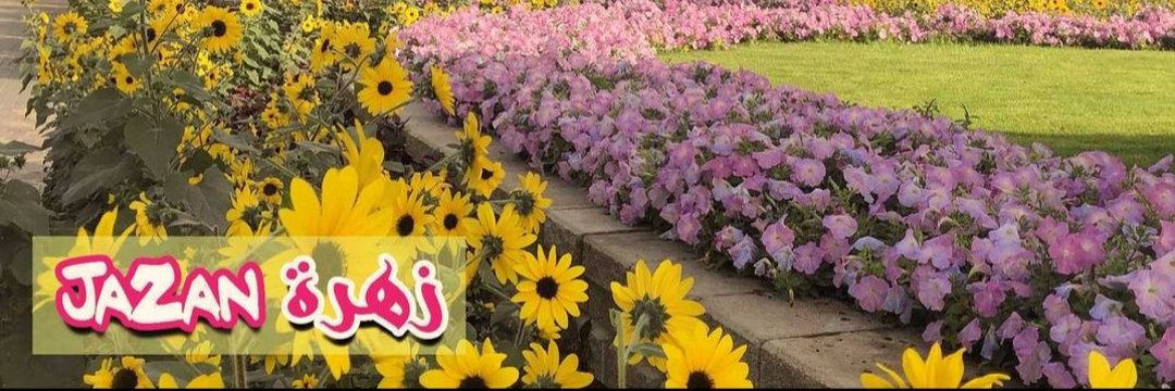 زهرة جازان 🇸🇦 banner