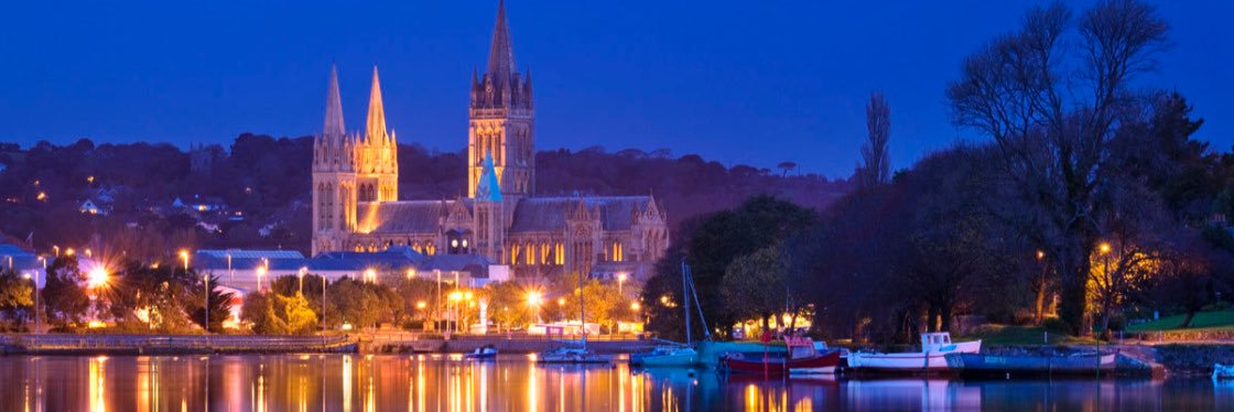 Terry Mullins banner