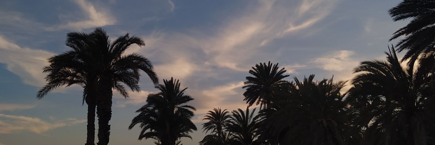 Lnamcs98's profile banner image