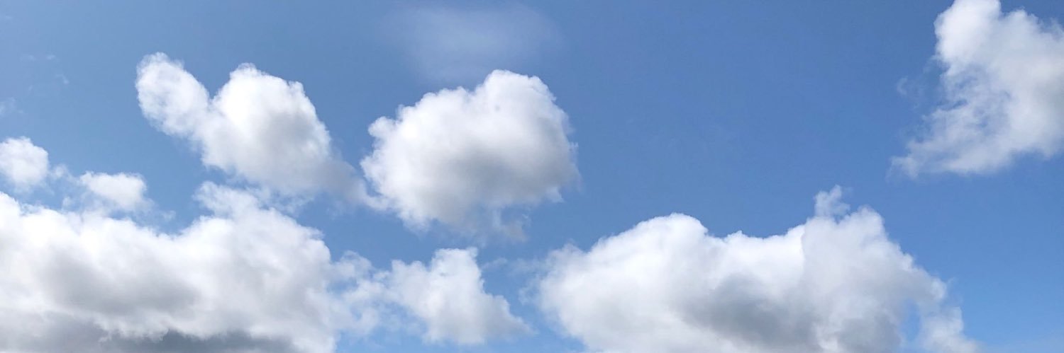 Nikita Kouevda banner