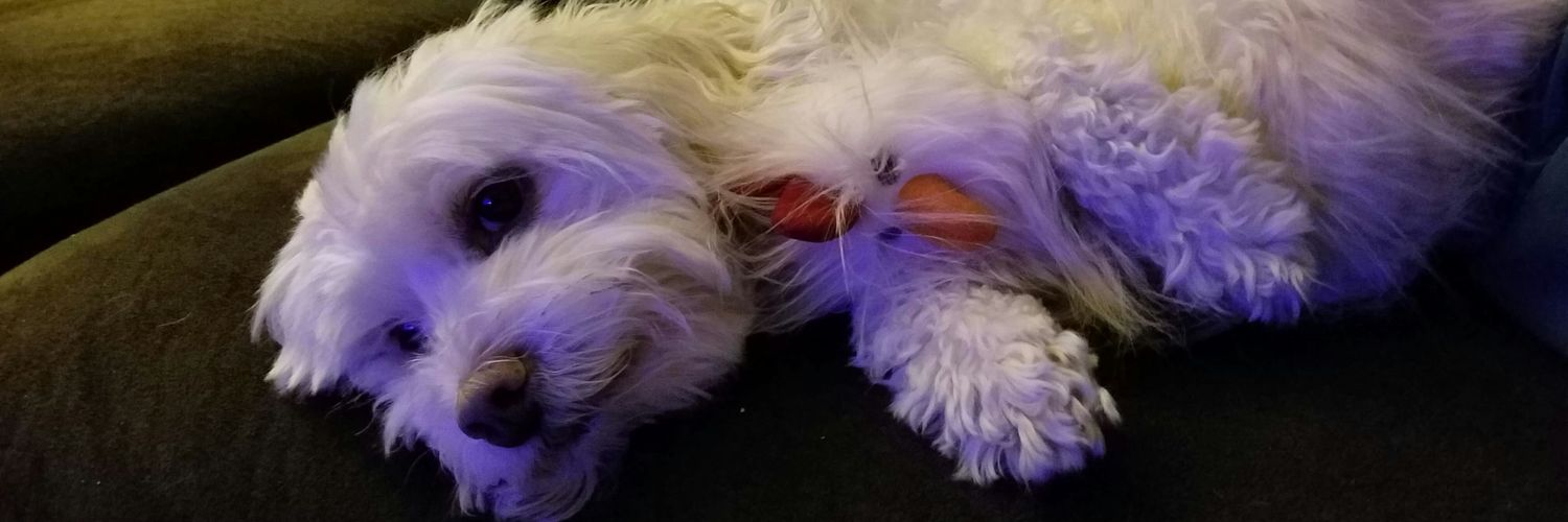 zombiejerky's profile banner image