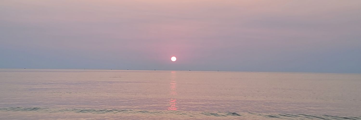 RichardBearJ's profile banner image
