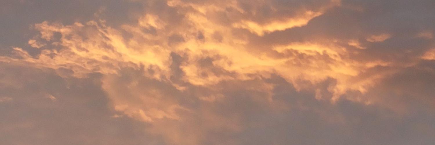PaulinaRus's profile banner image
