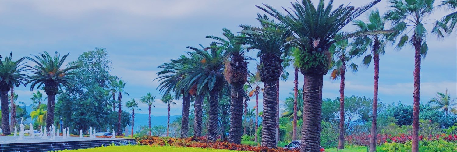 3C_whatever's profile banner image