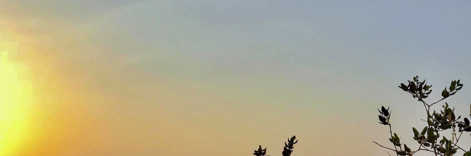 omar39392's profile banner image