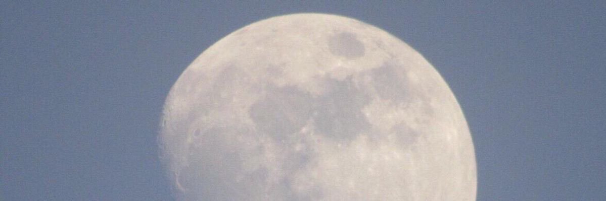 TiariSosa's profile banner image