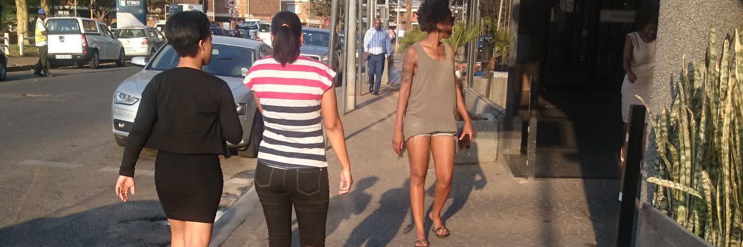 Mnisi weMvula banner