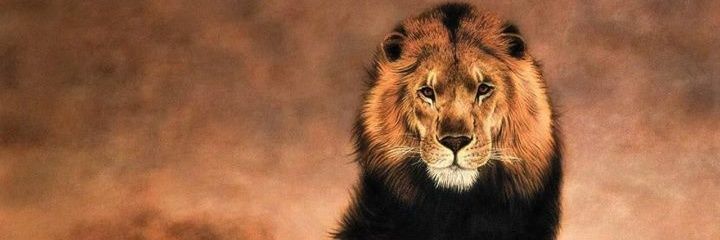 ❤💛murooo💛❤ banner