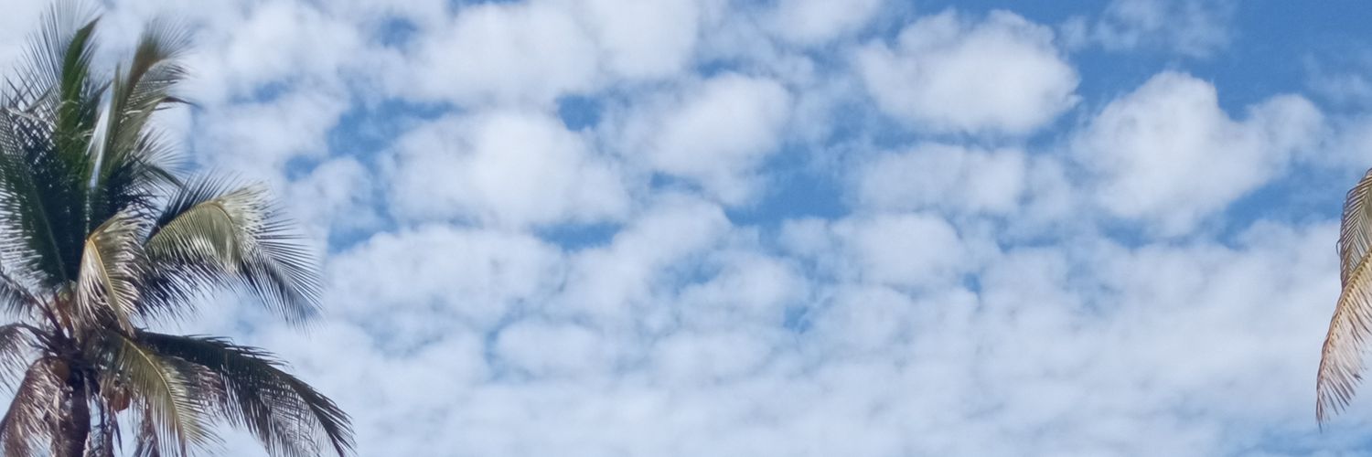 MiOpinionNeta's profile banner image