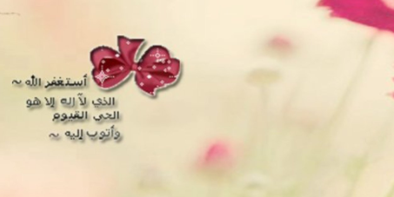 du2flm's profile banner image
