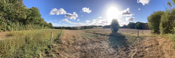 genoncat Profile Banner