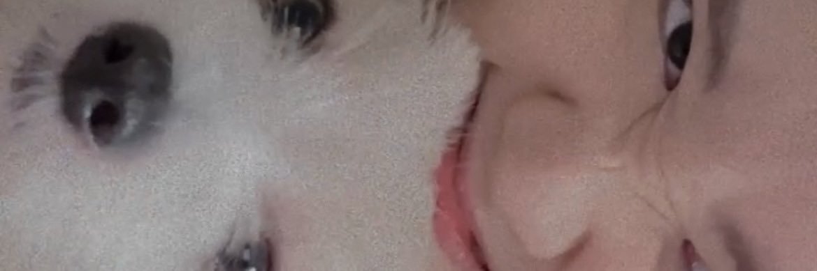 eezabiaooo's profile banner image