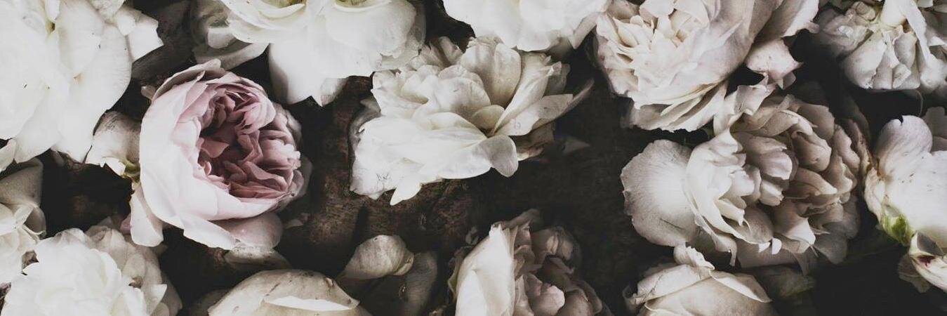 GraceBello's profile banner image