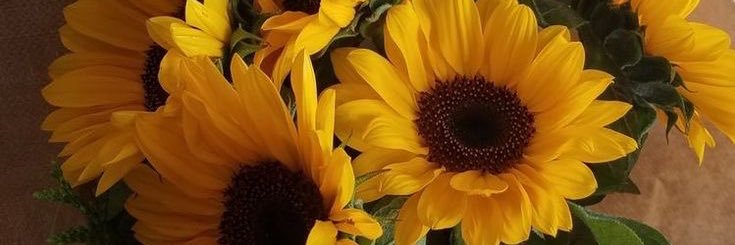 dwinbbn's profile banner image