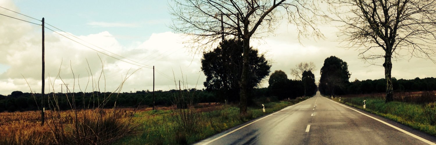 filipaangelo's profile banner image