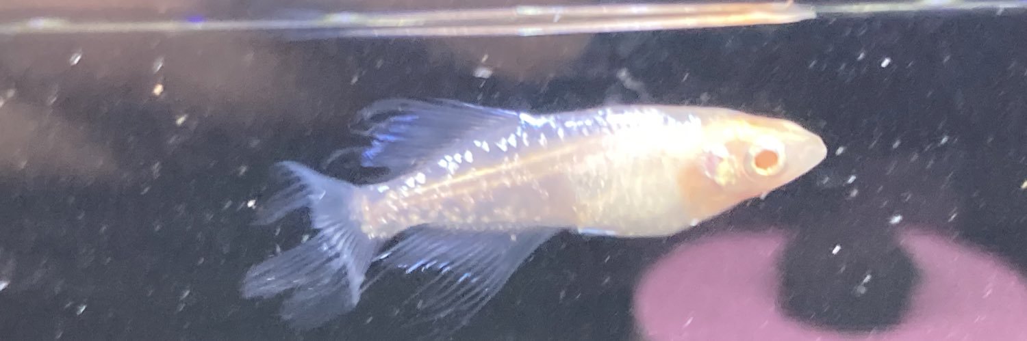 moko850606's profile banner image