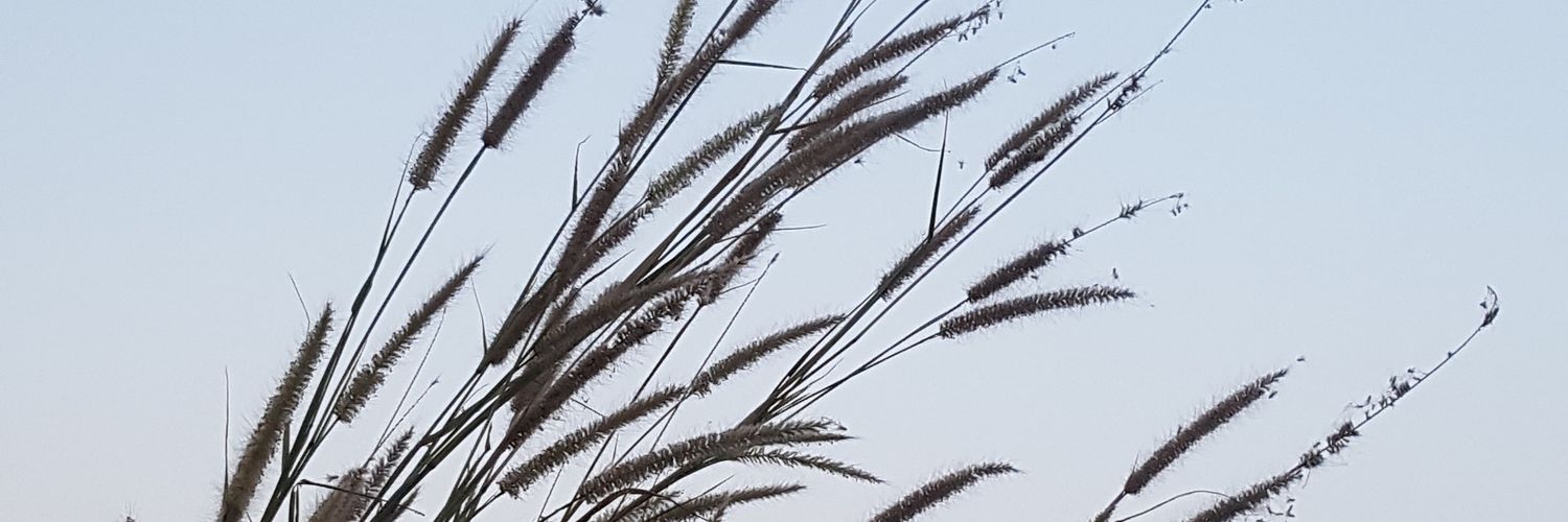 Audcha65's profile banner image