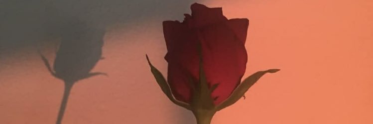 husnakago's profile banner image