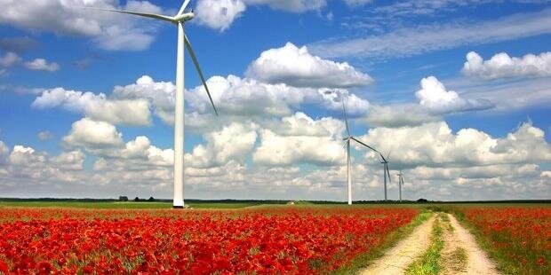 LivosEnergy's profile banner image