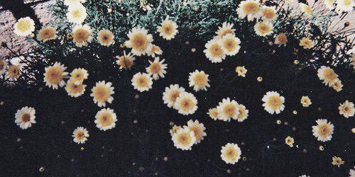 arlindacahya's profile banner image