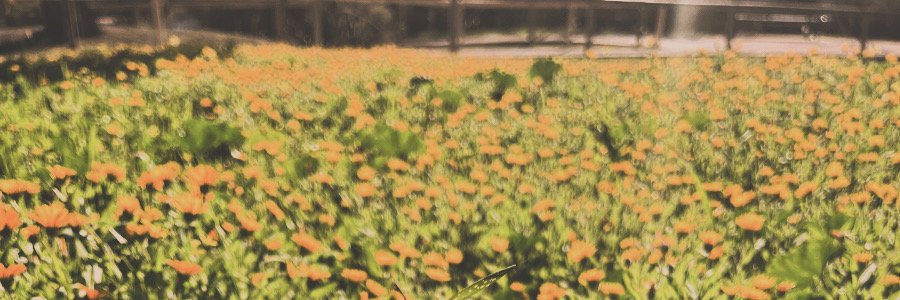 Andy💫 banner
