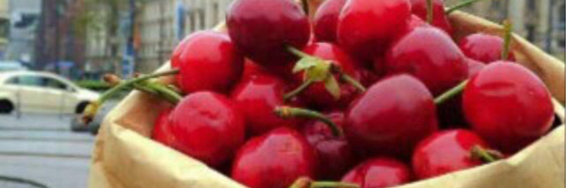 alsaaleem321's profile banner image