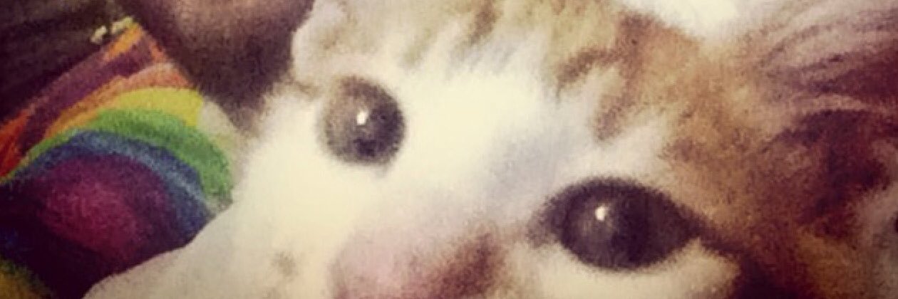 kaptankonos's profile banner image